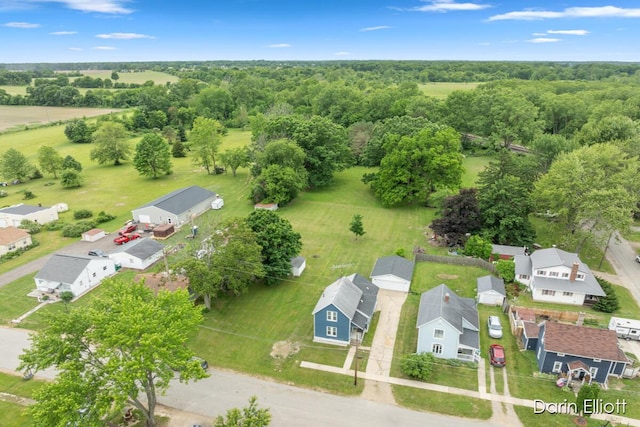 204 Maple St, Durand, MI 48429 - aerial view of a forest