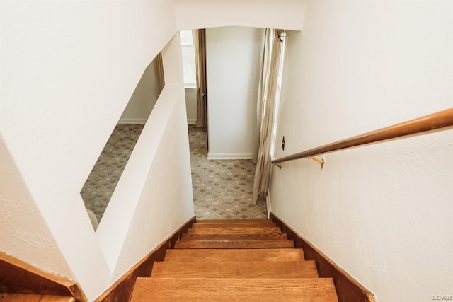 8667 Thompson Hwy, Blissfield, MI 49228 - staircase with carpet flooring and arched walkways