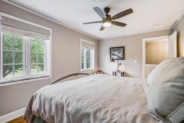 1515 E Stadium Blvd, Ann Arbor, MI 48104 - bedroom featuring multiple windows, crown molding, a ceiling fan, and wood finished floors