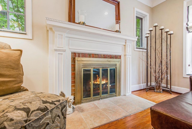1515 E Stadium Blvd, Ann Arbor, MI 48104 - detailed view of a fireplace and wood finished floors