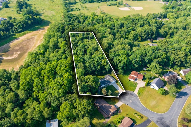 3977 Observation Ave, Kalamazoo, MI 49004 - view of property location featuring property parcel outlined
