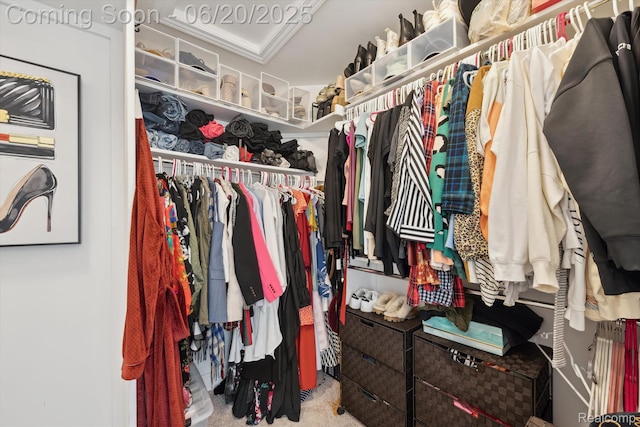 1920 Rowland Ave, Royal Oak, MI 48067 - walk in closet featuring carpet floors