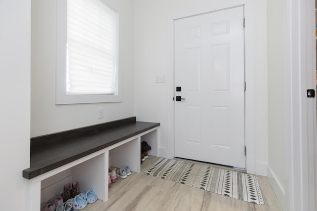 21536 Fieldview Dr, Edwardsburg, MI 49112 - mudroom featuring wood finished floors