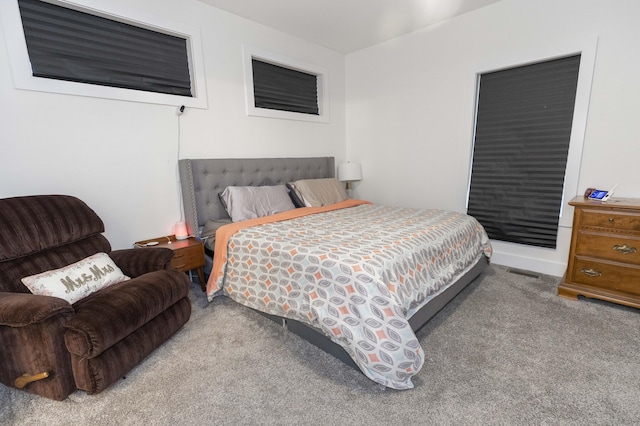 21536 Fieldview Dr, Edwardsburg, MI 49112 - view of carpeted bedroom
