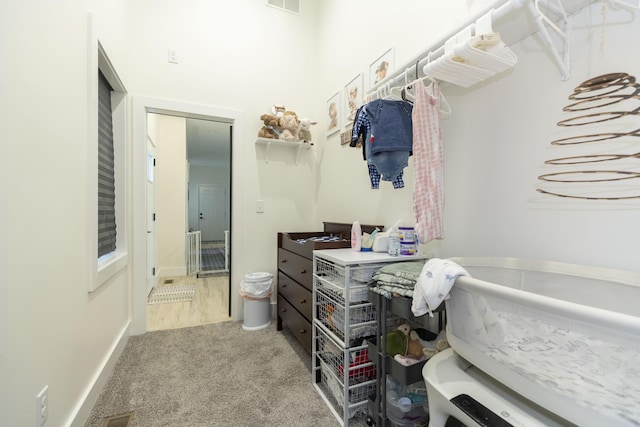 21536 Fieldview Dr, Edwardsburg, MI 49112 - spacious closet with carpet floors