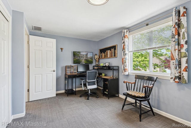 1972 Theodore St, Trenton, MI 48183 - office area with carpet floors and baseboards