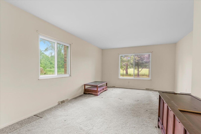 360 Wood Creek Dr, Howell, MI 48843 - empty room with healthy amount of natural light and carpet floors