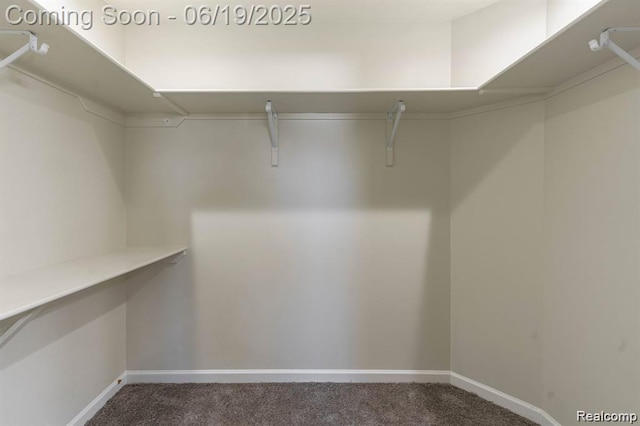 23013 Helen, Southfield, MI 48033 - spacious closet featuring carpet flooring