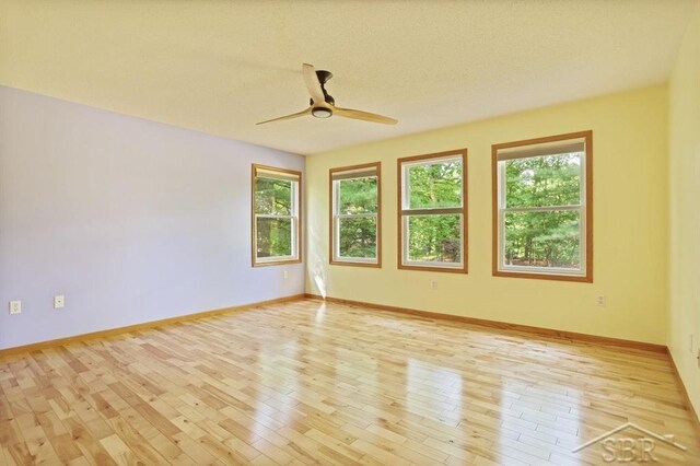 878 S Crooked Tree Ln, Midland, MI 48640 - spare room with healthy amount of natural light, a ceiling fan, light wood-style flooring, and a textured ceiling