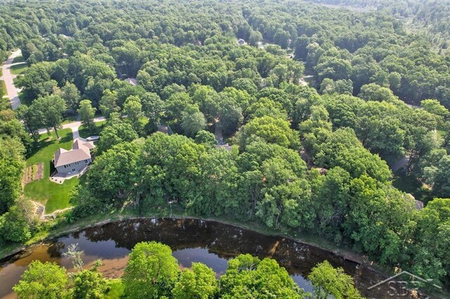 878 S Crooked Tree Ln, Midland, MI 48640 - aerial view of property's location with a large body of water and a forest