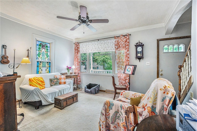 316 Reed Ave, Kalamazoo, MI 49001 - living area with ornamental molding, carpet flooring, and ceiling fan