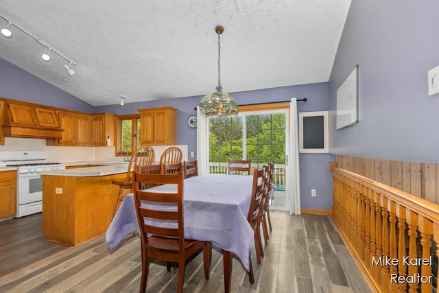 2742 Woodridge Dr, Jenison, MI 49428 - dining area featuring vaulted ceiling, wood finished floors, and a textured ceiling