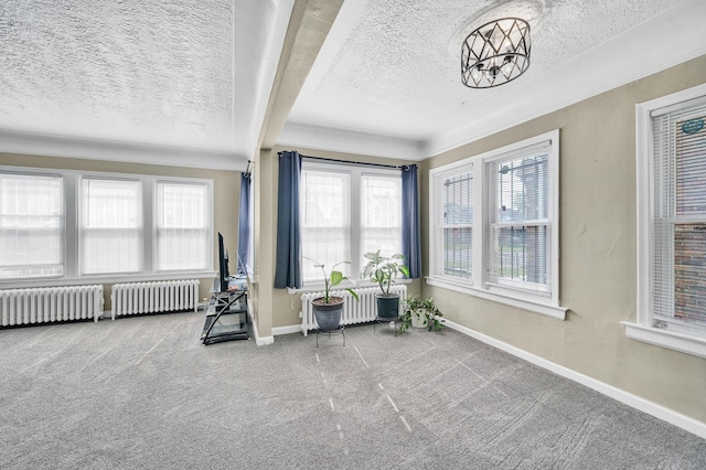 14311 Forrer St, Detroit, MI 48227 - sunroom / solarium featuring radiator heating unit, a textured ceiling, and carpet flooring