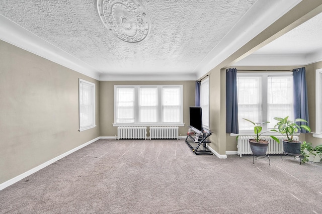 14311 Forrer St, Detroit, MI 48227 - carpeted living room with radiator heating unit and a textured ceiling
