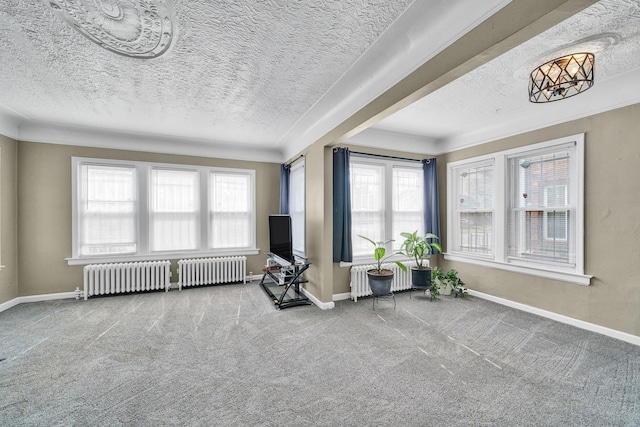 14311 Forrer St, Detroit, MI 48227 - sitting room with radiator, a textured ceiling, plenty of natural light, and carpet