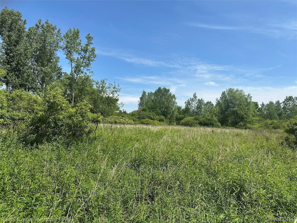 000 Kilburn, Grant, MI 48032