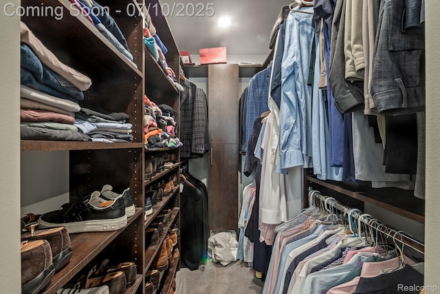 418 E 5th St Unit 2, Royal Oak, MI 48067 - walk in closet with carpet flooring