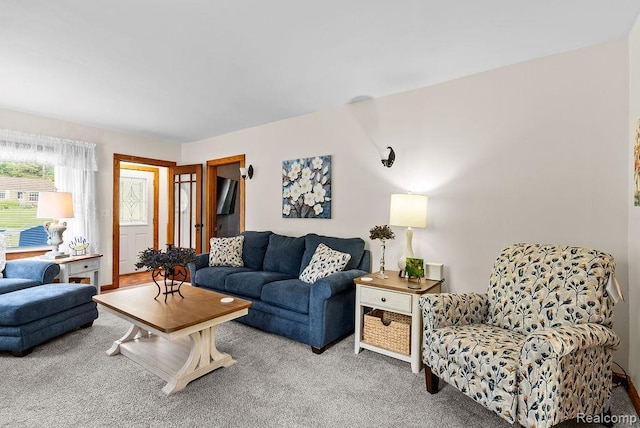 316 N Seymour Rd, Flushing, MI 48433 - living room featuring carpet floors