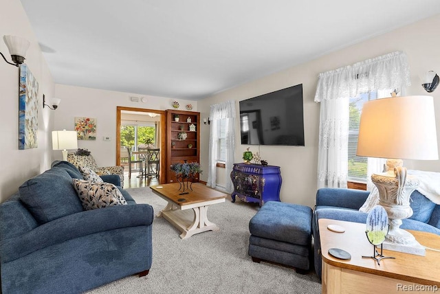 316 N Seymour Rd, Flushing, MI 48433 - view of carpeted living room