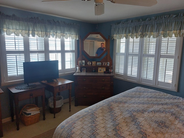 23675 N Shore Dr, Edwardsburg, MI 49112 - carpeted bedroom with multiple windows and a ceiling fan