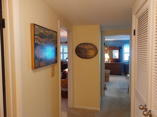 23675 N Shore Dr, Edwardsburg, MI 49112 - hallway featuring carpet and baseboards