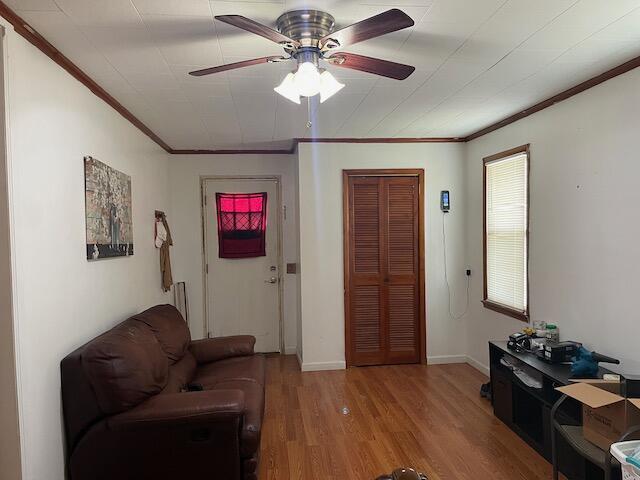 6512 25 1/2 Mile Rd, Homer, MI 49245 - photo 22