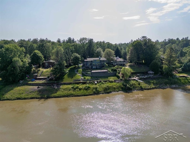 4394 N Francis Shores Ave, Sanford, MI 48657 - water view featuring a forest