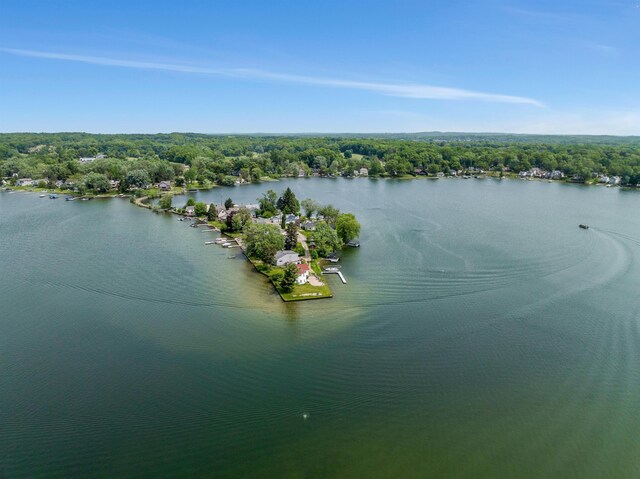 2160 Dean Dr, Highland, MI 48356 - photo 32