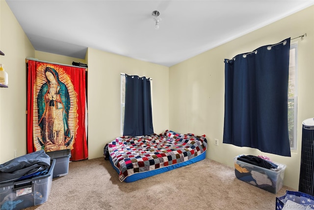 17304 Barlow St, Detroit, MI 48205 - view of carpeted bedroom
