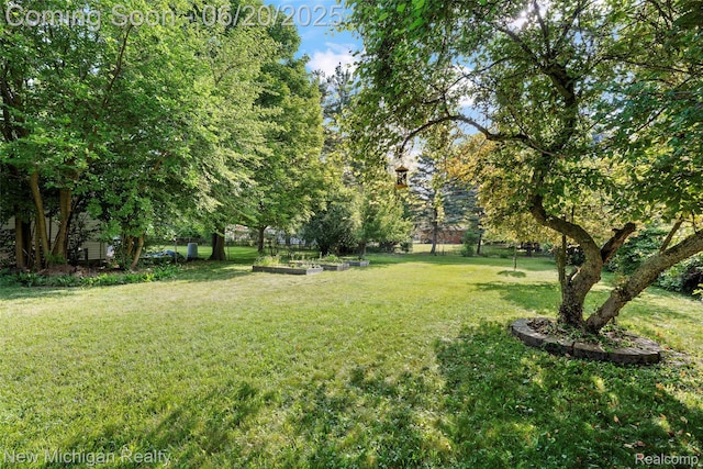 20138 Weyher St, Livonia, MI 48152 - photo 4