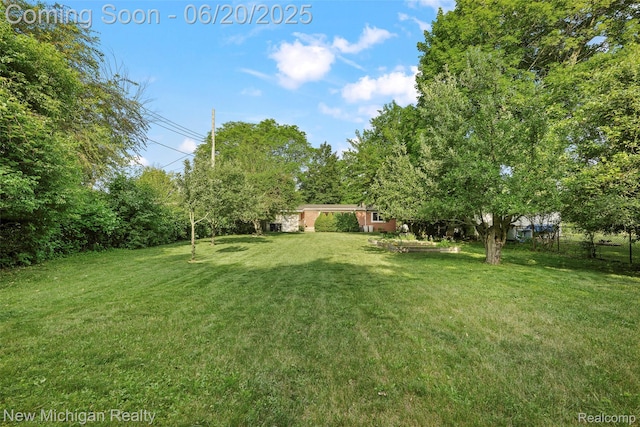 20138 Weyher St, Livonia, MI 48152 - photo 5