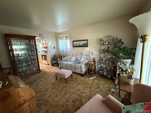 400 W Hudson Ave, Madison Heights, MI 48071 - view of carpeted living area