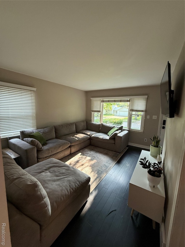 3355 Garden Ave, Royal Oak, MI 48073 - living area with dark wood-style floors