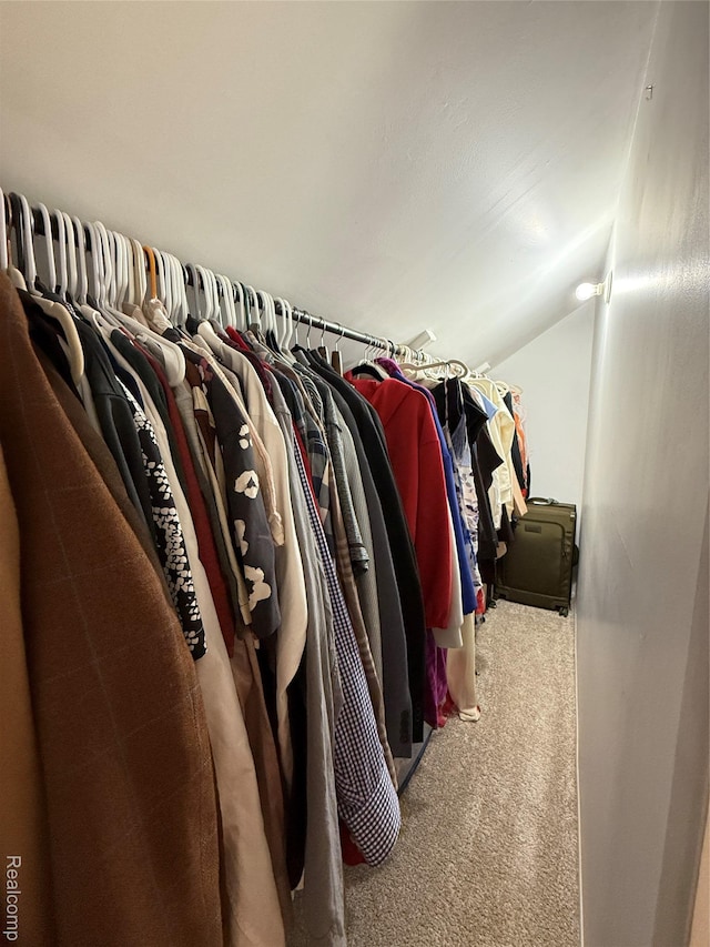 3355 Garden Ave, Royal Oak, MI 48073 - spacious closet featuring carpet flooring and lofted ceiling