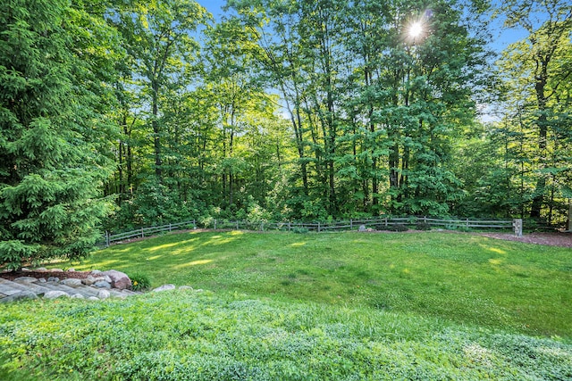 15770 157th Ave, Big Rapids, MI 49307 - view of fenced backyard