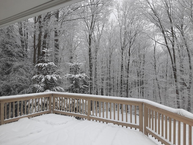 15770 157th Ave, Big Rapids, MI 49307 - view of snow covered deck