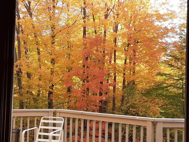 15770 157th Ave, Big Rapids, MI 49307 - view of deck