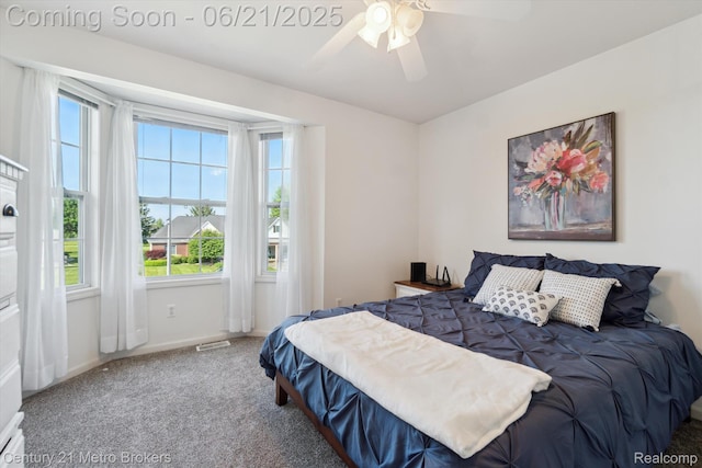 9145 Woodridge Dr, Davison, MI 48423 - carpeted bedroom with multiple windows and a ceiling fan