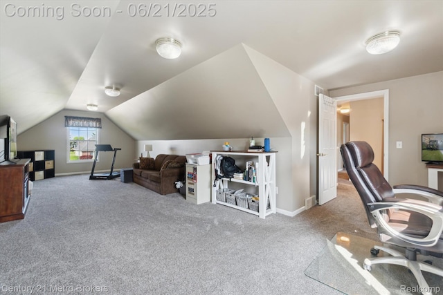 9145 Woodridge Dr, Davison, MI 48423 - carpeted office space with vaulted ceiling and baseboards
