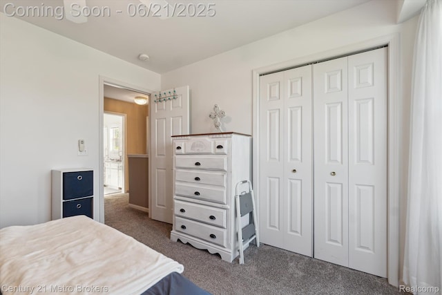 9145 Woodridge Dr, Davison, MI 48423 - bedroom with dark carpet and a closet