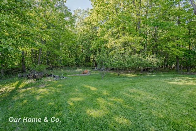 838 S Grey Rd, Midland, MI 48640 - view of green lawn featuring a wooded view