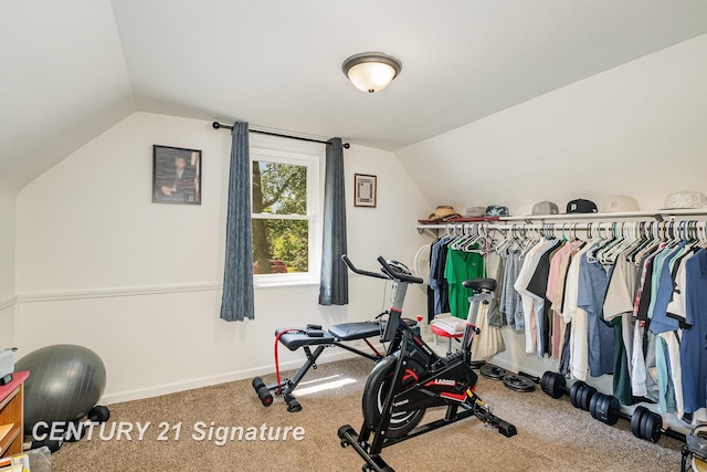 5430 N Center Rd, Saginaw, MI 48604 - exercise area featuring lofted ceiling and carpet floors