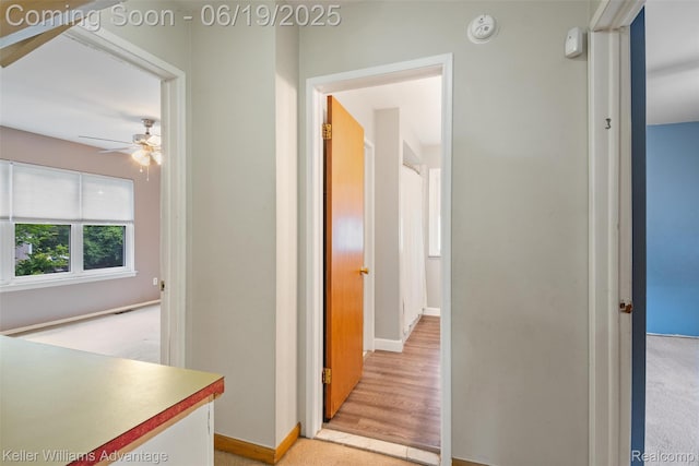 14000 Ellen Dr, Livonia, MI 48154 - hallway with baseboards