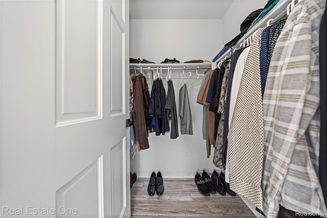 52615 Seven Oaks Dr, Shelby Twp, MI 48316 - walk in closet with wood finished floors