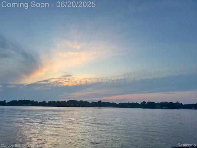 11693 Kenton Dr, Whitmore Lake, MI 48189 - water view