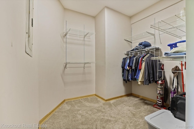 5490 Rupprecht Rd, Vassar, MI 48768 - spacious closet with carpet