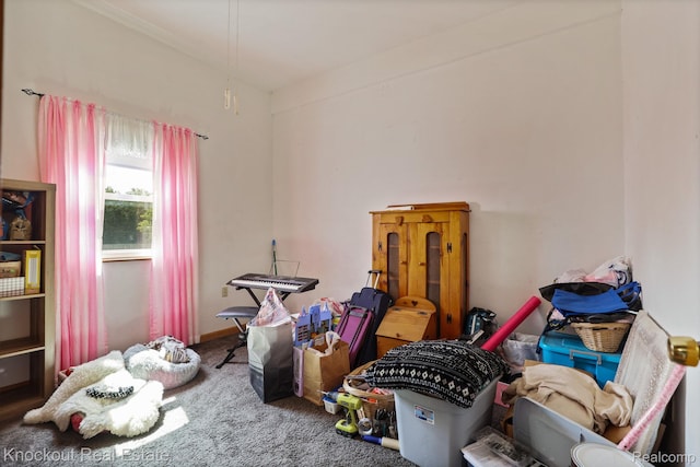 5490 Rupprecht Rd, Vassar, MI 48768 - misc room featuring carpet