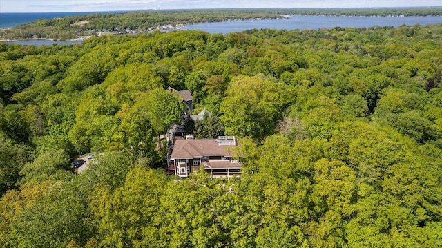 4679 Forest Ridge Dr, Holland, MI 49423 - aerial view of a heavily wooded area and a large body of water