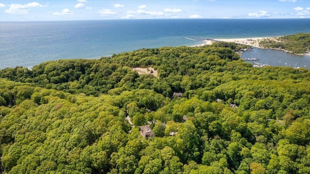 4679 Forest Ridge Dr, Holland, MI 49423 - drone / aerial view of a large body of water and a heavily wooded area