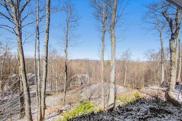 4679 Forest Ridge Dr, Holland, MI 49423 - view of tree filled area